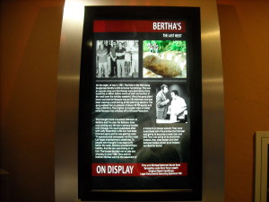 Bertha's Burglary Display at the Mob Attraction at the Tropicana in Las Vegas. 