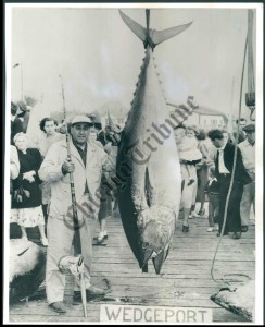 Tony Accardo with his trophy catch a "Big Tuna."