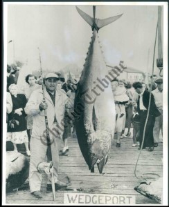 Tony Accardo with his trophy catch a "Big Tuna."
